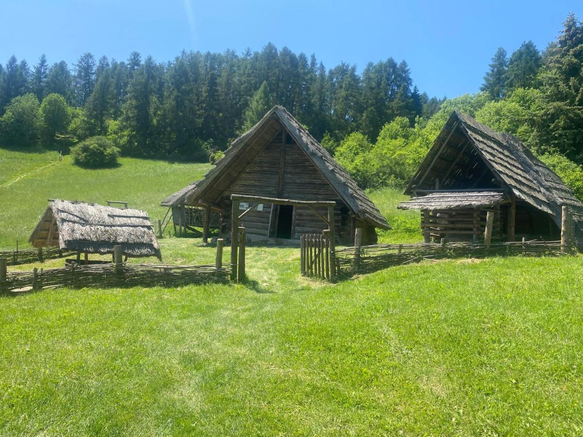 Ferienhaus Pepa Bobrovník